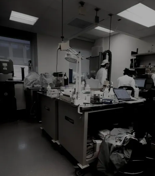 Biomechanical testing